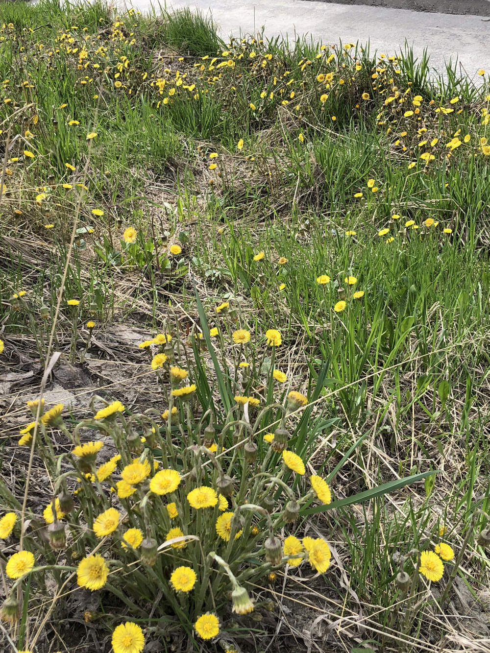 Новости экологии