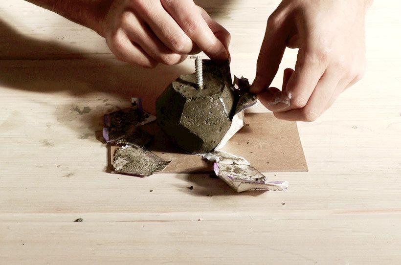 Живой камень