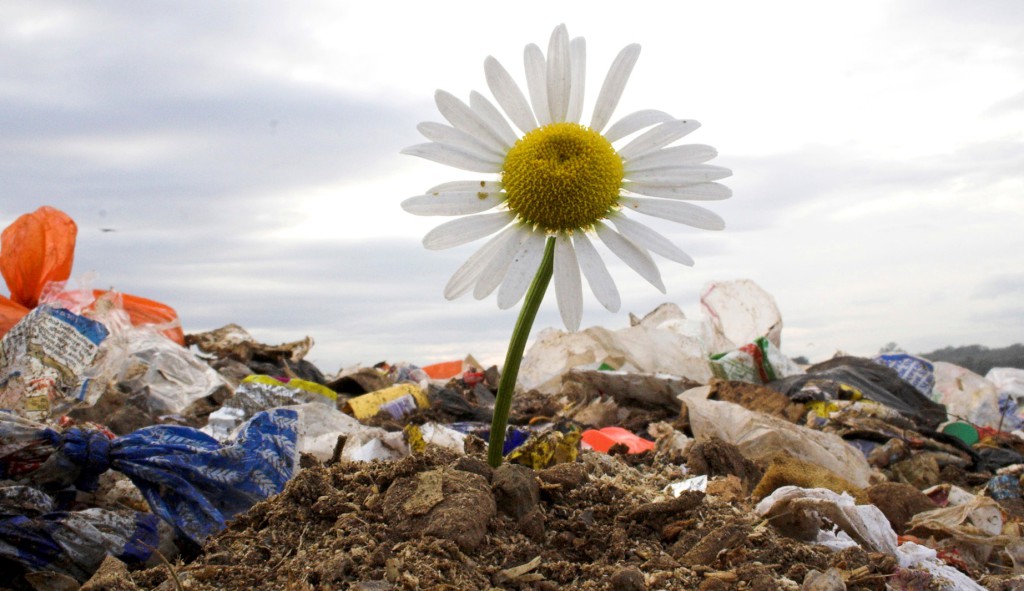 Сбережем экологию для будущих поколений